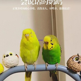�W�^���B��Ƥ���^ĵ�����B����С�B���B���w�����^�p���fԒ���W�^