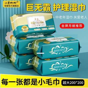 Elderly Care Wet Wipes, Huge Thickeneded Bag, Special Wipes for Adults' Hands and Mouth, No-Wash Cleaning Wet Wipes for the Elderly