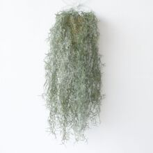 �ڒ�՚���ܛ�z�lë�ٗl�Ҿӿ��ȏd�ưɿ͏d�b�ֲ����滨�Gֲ