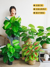 �GֲС���������񱱚W�L�҃ȿ͏d�b�����ֲ���쾰��ؔ[��