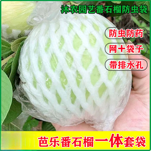 Guava Insect-Proof Mesh Bag, Guava Bagging Mesh Bag, Integrated Foam Packaging Bag, Guava Bag, Fruit Mesh Bag