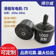 厂家批发滑板车电机-75精品平衡车直流无刷电机量大优惠