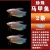 Vest from pearl, 6-8cm