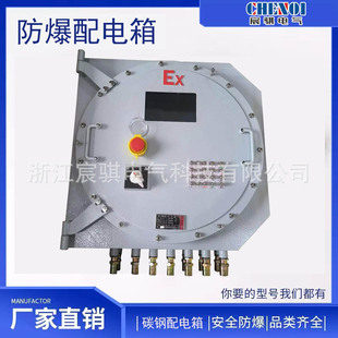 Carbon Steel Iic Explosion-Proof Box with Buttons, Carbon Steel Explosion-Proof Distribution Box, Stainless Steel Junction Box with Buttons