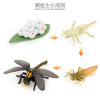 Cross -border simulation children's science and education simulation model growth cycle seed plant insect chicken duck and goose growth cycle