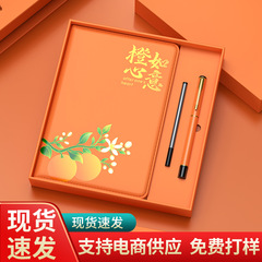 六一學校禮品定製公司商務筆記本套裝送客戶員工畢業季全班伴手禮