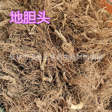 ����؛Դ��đ�^ ��Ь�� ��Ь�� ��đ�ݸ��� �Ƀ��o����