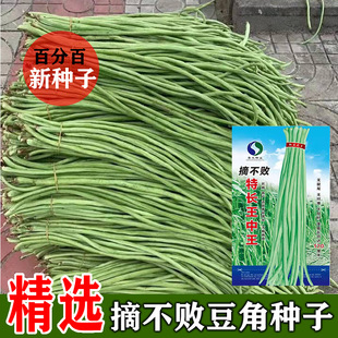 �߮a�L�����N��ժ�������ǷN�Ѳ˷N�Ӵ������l�ļ��������߲˷N��