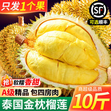 ̩������ɏ���rˮ��10��һ����������S���]�����M�ڰ�����ɏ��