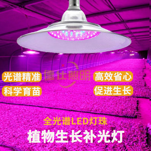 Led Plant Supplementing Light Greenhouse Vegetable Strawberry Fleshy Indoor Simulated Sunlight Indoor Vegetable Supplementing Light