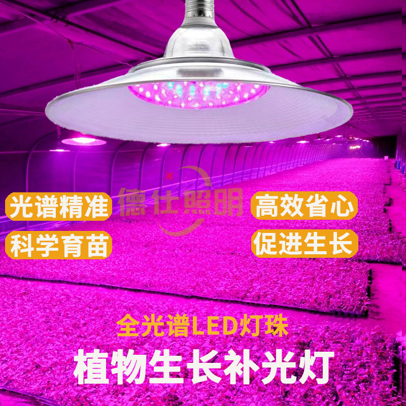 Led Plant Supplementing Light Greenhouse Vegetable Strawberry Fleshy Indoor Simulated Sunlight Indoor Vegetable Supplementing Light