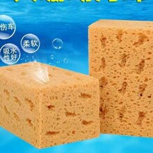 洗车泡沫棉洗车工具超市特大号清洗清洁蜂窝珊瑚擦车海绵汽车用品