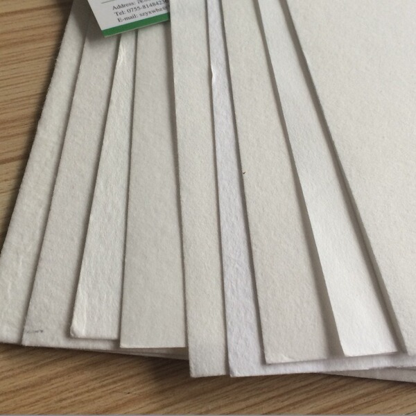 Empty water-absorbing paper sheet