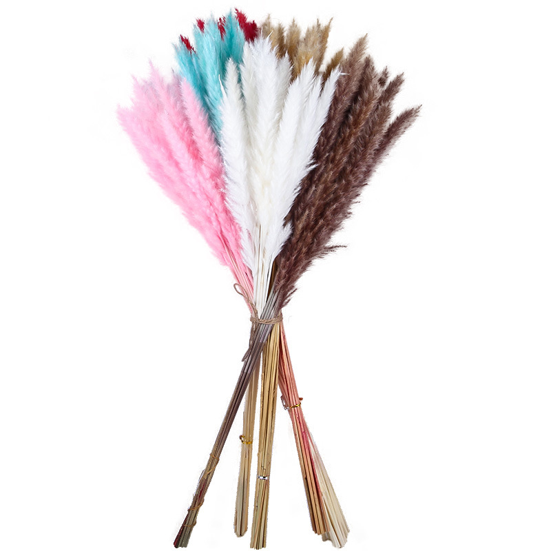 Amazon Wholesale Reed Preserved Fresh Flower Bouquet Finished Christmas DIY Decoration Ornaments PAMPAS Grass Dried Reed Flower