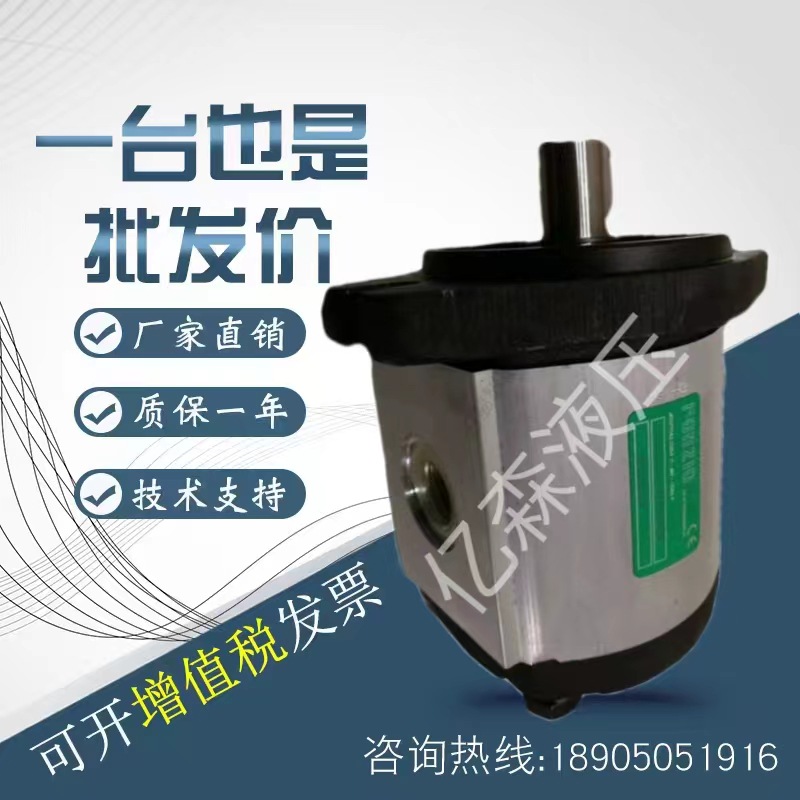 罗茨RONZIO液压齿轮泵02ZCG06L434D/02ZAG04E032D/02ZCG17N435D0N