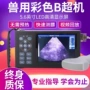 b超兽用怀孕新品牛羊