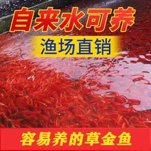 �ݽ��~���~�^�p�~�\���~���Lβ��t�ݽ���B�ͻ��ԁ�ˮ���B��ˮ�~