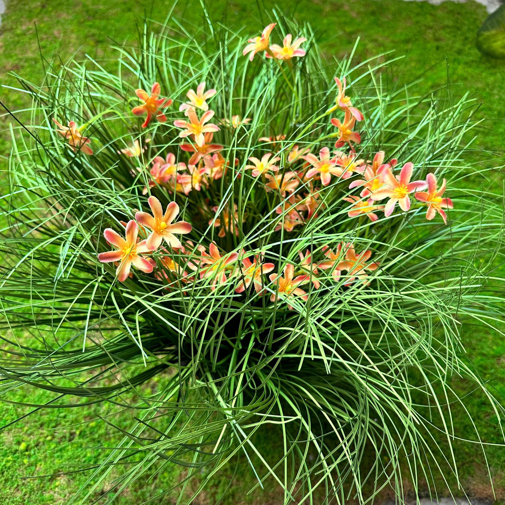 Grupo de flores silvestres amarillo (40cm de altura, 40cm de diámetro)