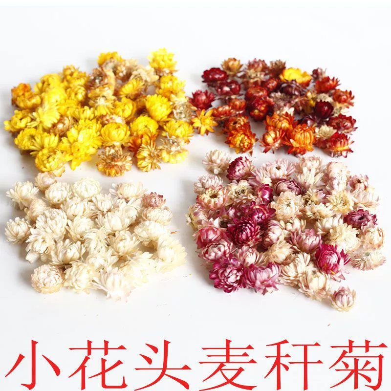 Сушеные цветы, соломенная хризантема, цветочная головка, ананасовая маргаритка, цветочная головка