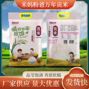 �׋��۰��f��ؕ�׽��������L���ڸ�ܛŴ�w��M�r���L�������