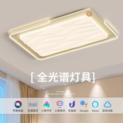 奶油风法式led吸顶灯创意大气家用客厅主灯北欧现代简约灯具