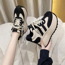 WtWrĂԎƴɫϵЬɸ׃߸ЬŮ