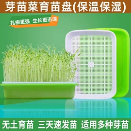 儿童读物;社科生活;四件套