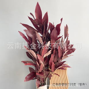 �S��ֱ�NƯ�����������~�滨�ɻ���Y��ˇ��ɫϵ�~��DIY�Ҿ��b�