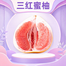 福建三红蜜柚 代发2/5/9/4-5斤酸甜多汁三红柚送礼礼盒装新鲜水果