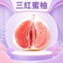福建代发新鲜礼盒装蜜柚
