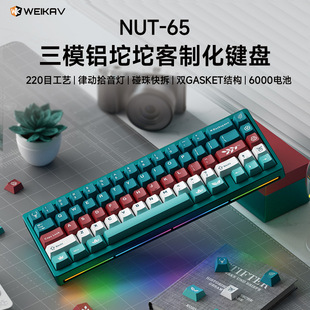 �S���Թ�NUT65��ģ�X����Cе�I�P���ƻ�gasket�Y���׼�늸��Α�