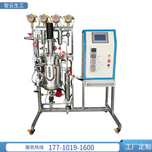 乳酸发酵 厌氧发酵设备 工业生物反应器 小型研发级发酵罐厂家