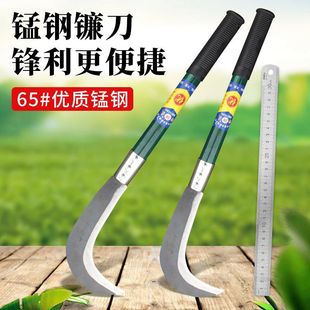 �i�砵���ݵ������r�ó��ݹ��߼����r�������ո����L����砵�