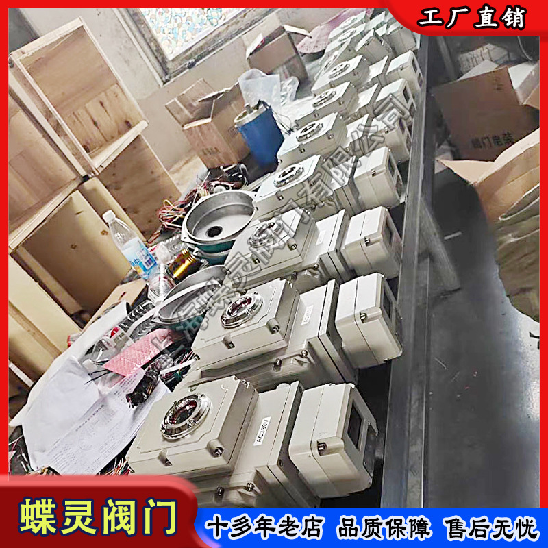 现货矿用智能一体化精小型电动执行器 4-20mA信号控制DL-05批发
