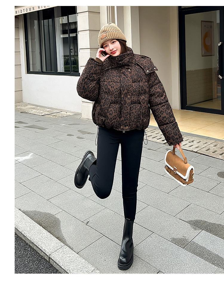 2_16.jpg