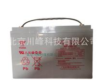 汤浅蓄电池NPL65-12规格12V65AH铅酸免维护蓄电池报价