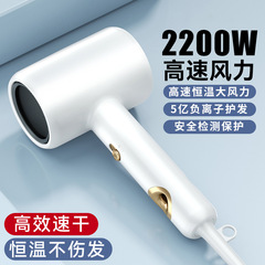 ハイパワー・マイナスイオン家庭用電気ドライヤー理髪店髪廊ブルーライトヘアケア静音筒冷熱ブロー筒