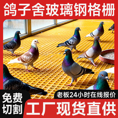 FRPグリル、鳩小屋の床ネット、小穴グリルボード、糞漏れ養殖排水溝グリル、太陽光発電歩道ボード