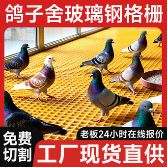 玻璃钢格栅鸽舍养殖地网小孔网格板漏粪公园下水道排水板厂家现货