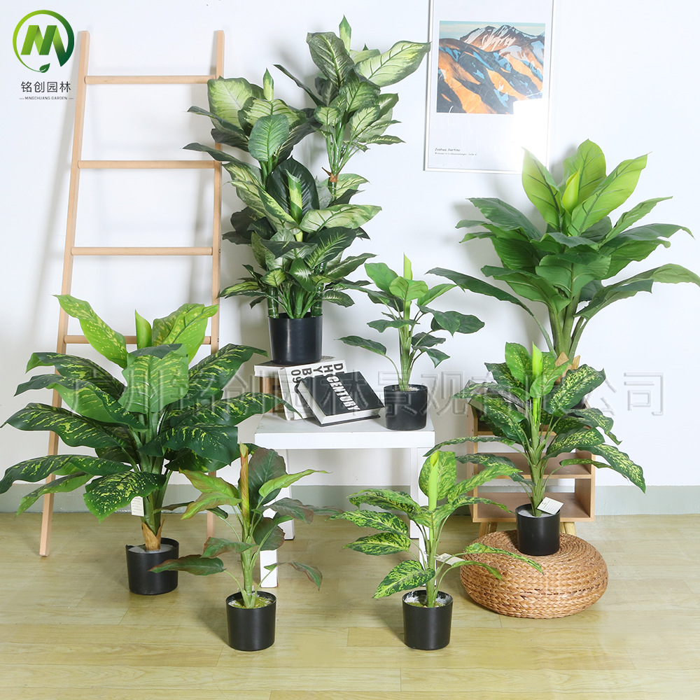 Simulación de paisajismo de interior Planta en maceta Evergreen Simulación de planta de follaje de interior Planta verde Evergreen con maceta image 3