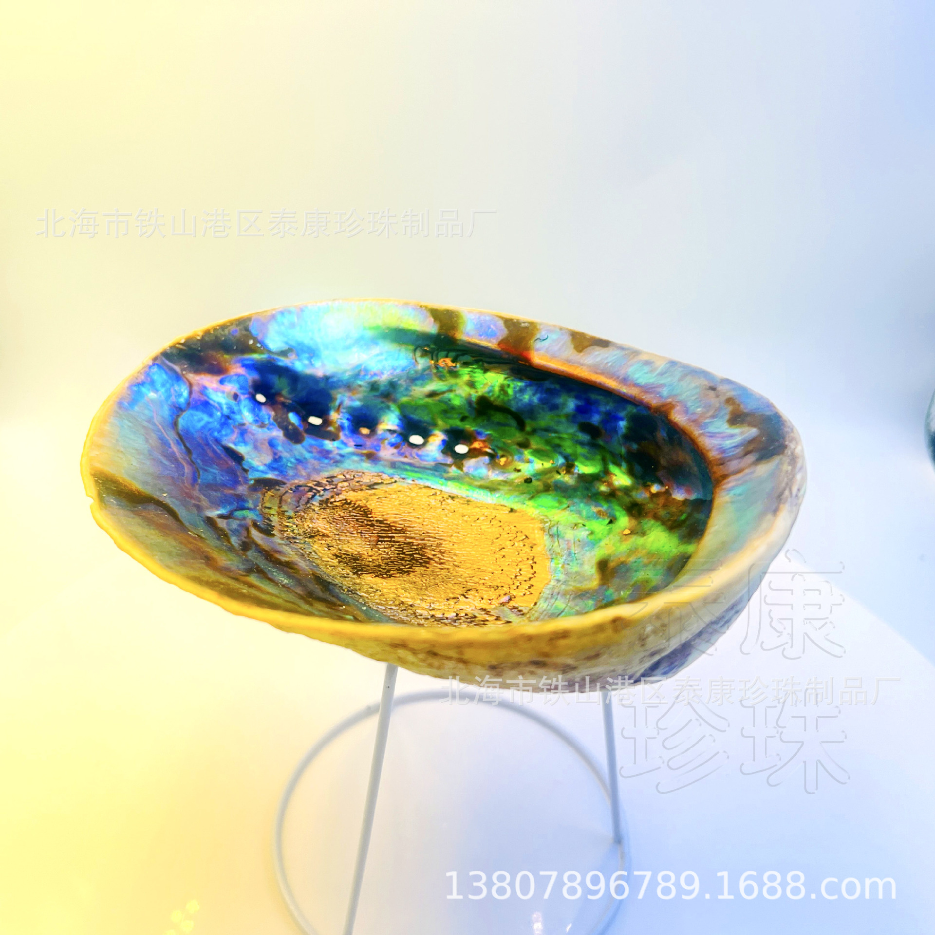 IMG_4466 新西兰黑金鲍鱼壳19cm+.jpg