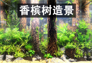 �㙉��� ��Ƥ ��ľ ���� ˮ�� ɭ�������쾰�䘶���N��������̨