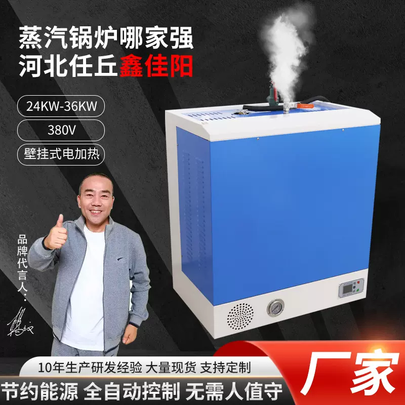 厂家供应加热壁挂式蒸汽发生器24-36KW水泥养护服装整烫蒸汽锅炉