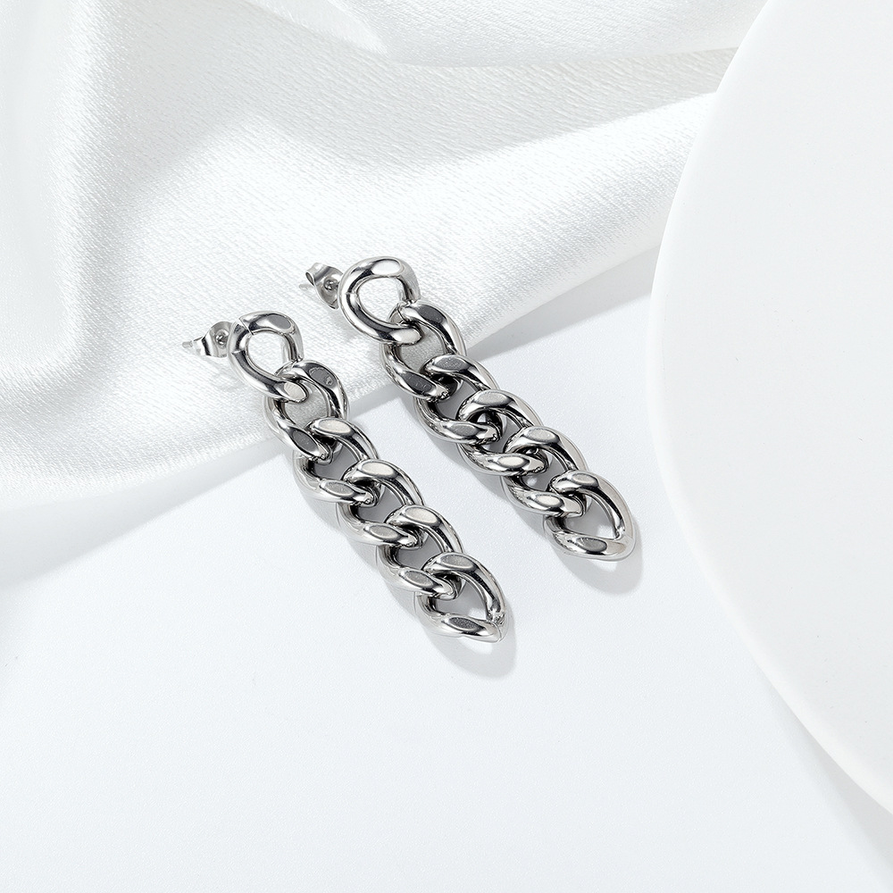 Simple Stainless Steel Chain Earrings Wholesale display picture 5