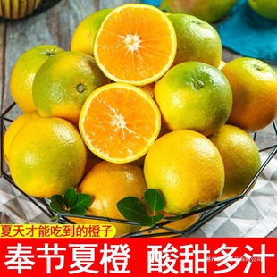 ���ڽ����M�ς���Ě�����𮔼����rˮ�����]���10���������w��