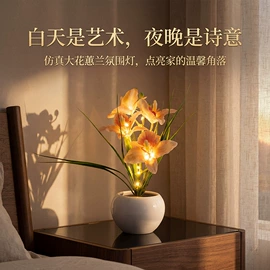 太阳能灯;小夜灯;装饰台灯