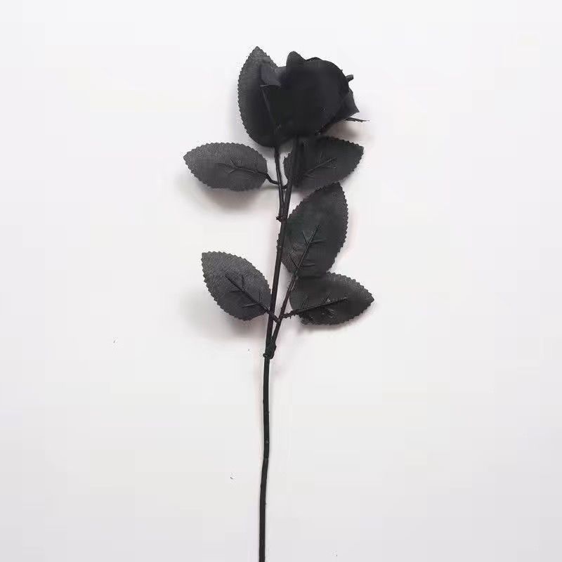 검은 장미 2개