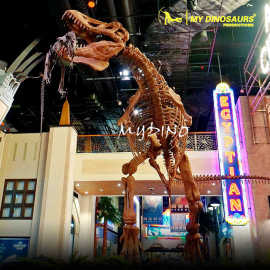 大型仿真霸王龙玻璃钢骨架化石 景区餐厅商场橱窗装饰高端摆件