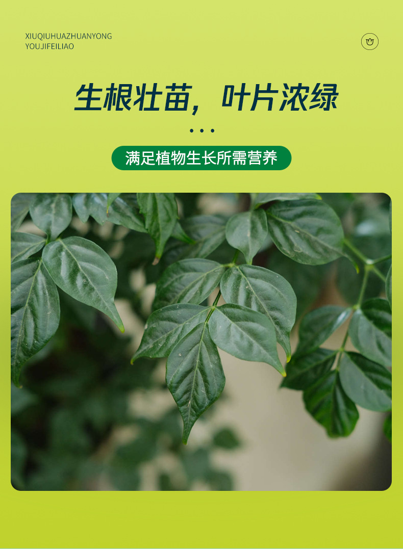 详情图