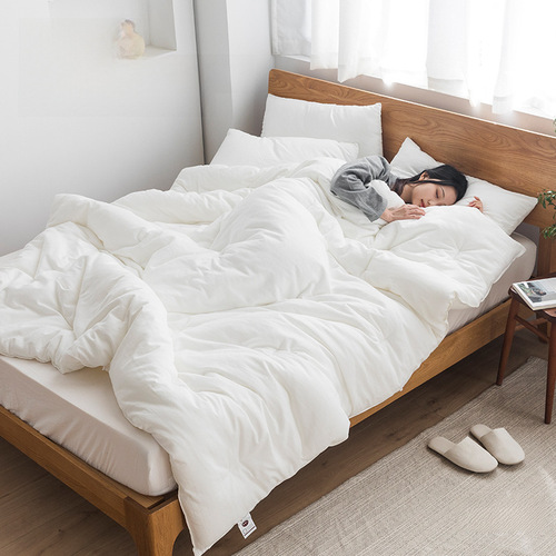 B02 Exit Japan Silk Velvet Comforter Core 100% Cotton A Grade Spring and Autumn Warm Blanket Double Bed Four Seasons Washable Air Conditioner Cover